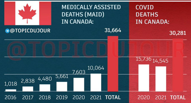 Chart comparing medically assisted deaths to COVID deaths in Canada, 2016–2021
